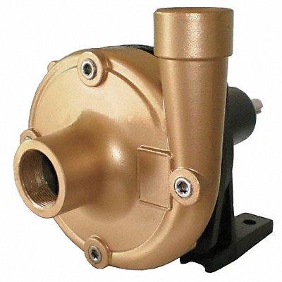 DAYTON 10X668 Pedestal Pump SS HP Req. 5