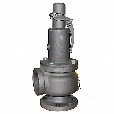 APOLLO 13202B10 Safety Relief Valve 1 In 10 psi
