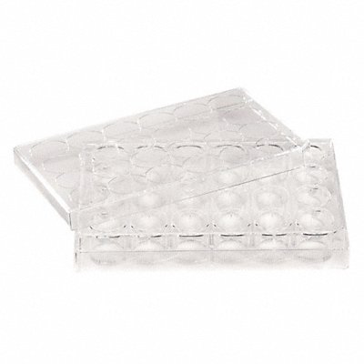 CELLTREAT 229548 Well Plate 1.55 mL PK100