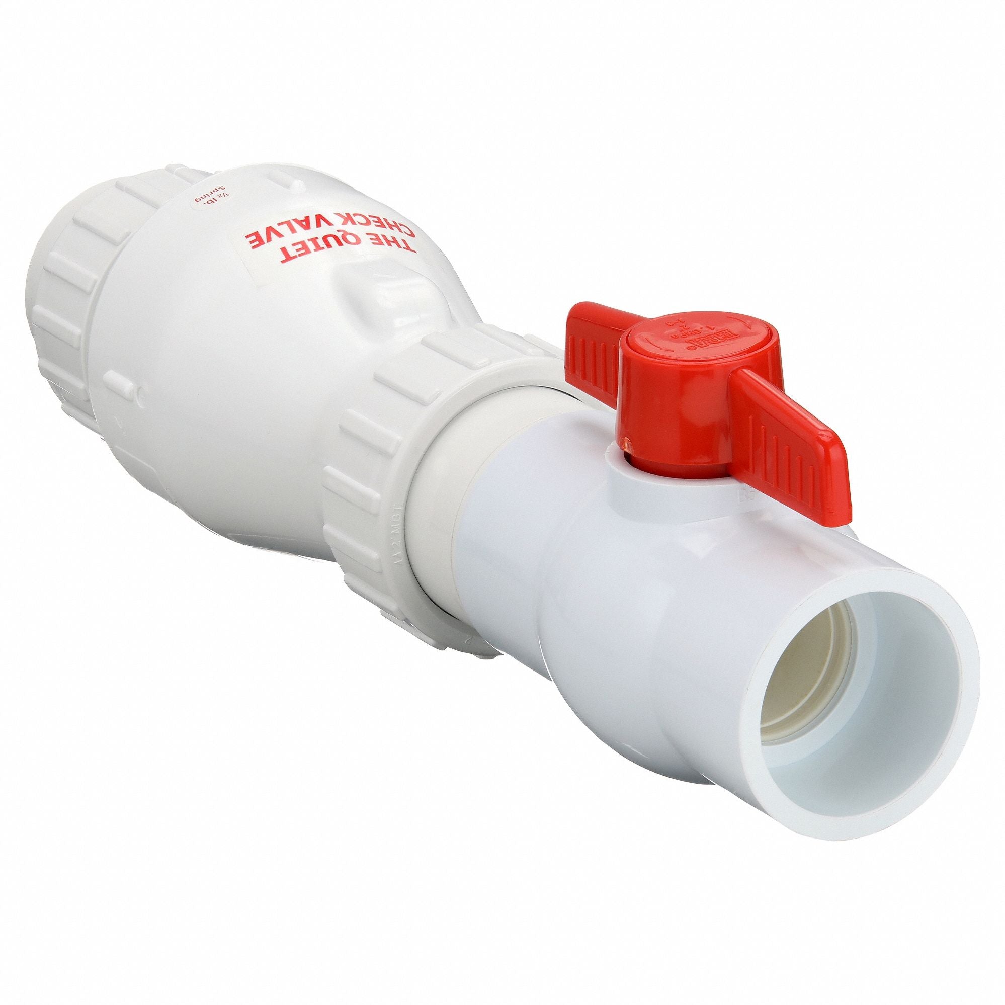 ZOELLER 300236 Check Valve with Ball Valve