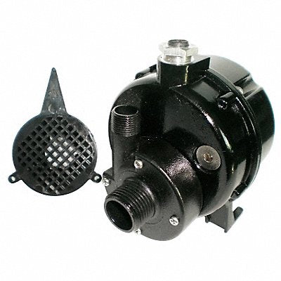 DAYTON 12U595 Pump Submersible 1/100HP