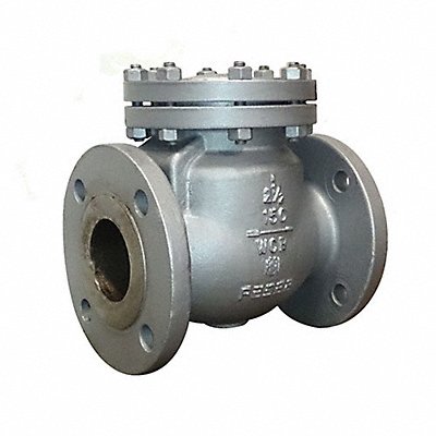MILWAUKEE VALVE 1570CB28 Swing Check Valve 19.5 in Overall L