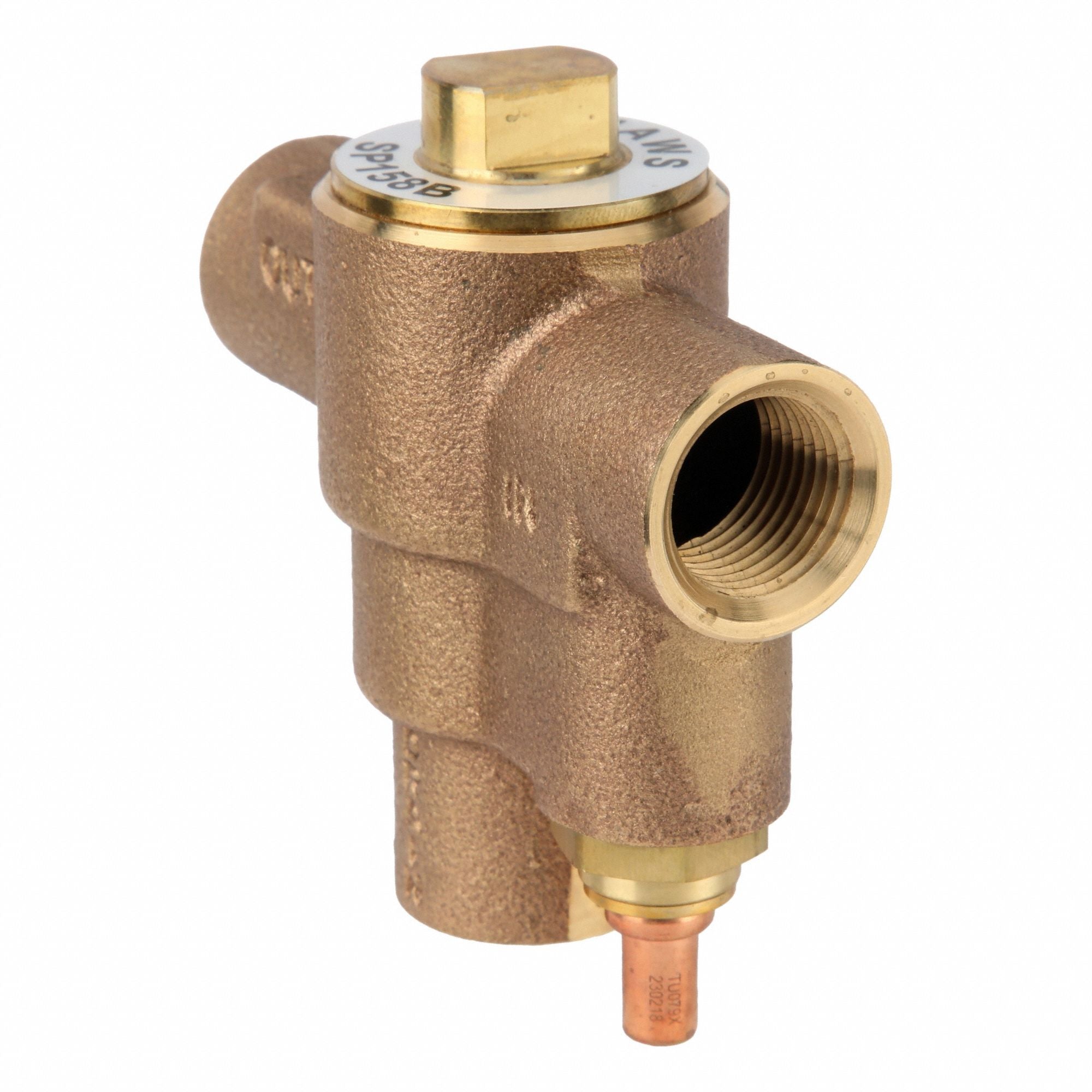 HAWS SP158B Freeze Protection Valve 1/2 Inlet