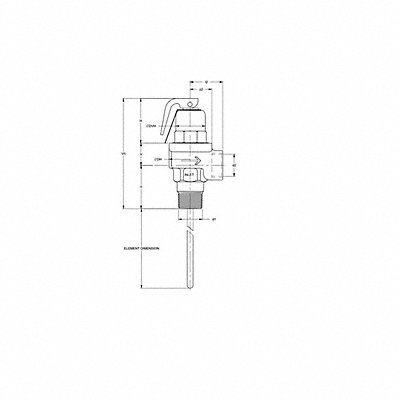 APOLLO 18C5213125 T and P Relief Valve MNPT x FNPT