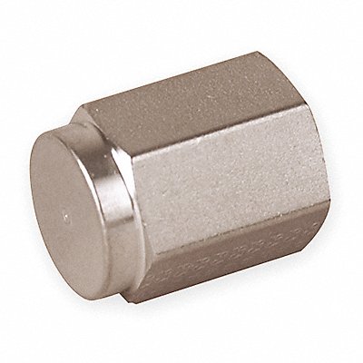 PARKER 4CPSS Hex Head Cap 316L SS 1/4 in Female NPT