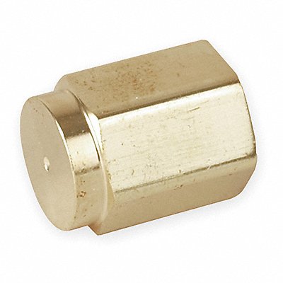 PARKER 6CPB Hex Head Cap Bright Brass 3/8 in FNPT