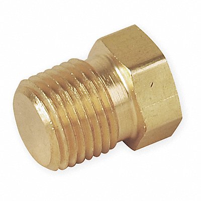 PARKER 8PHB Hex Head Plug Bright Brass 1/2 in