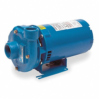 GOULDS WATER TECHNOLOGY 1BF40312 Pump 1/3 HP 1 Ph 120/240VAC