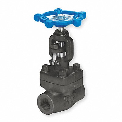 SHARPE VALVES 4371006390 Globe Valve 1 Steel FNPT 1975 psi