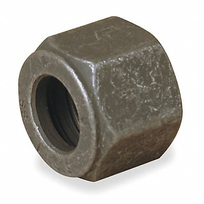 PARKER 2BZSS Nut SS CPI 1/8In