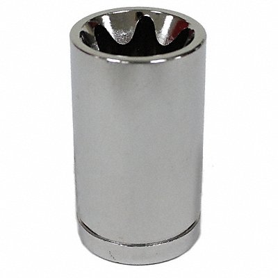 WESTWARD 20HX38 Socket Steel Chrome E11