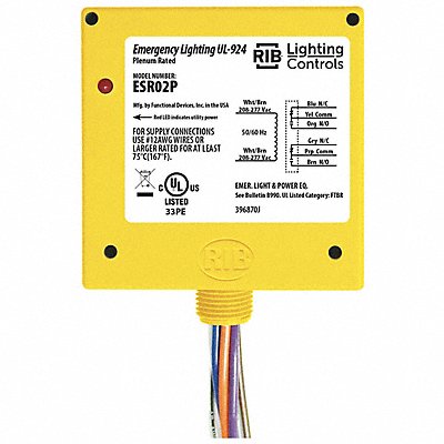 RIB ESR02P EnclosedPre-Wired Relay 277VAC DPDT 20A