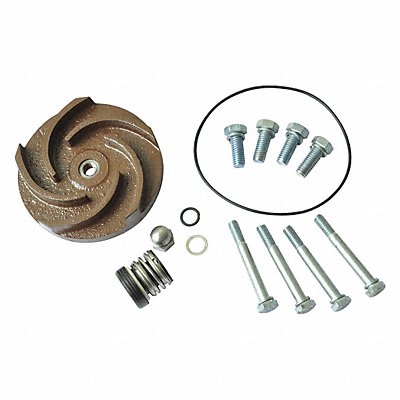 DAYTON 21TG41 Pump Repair Kit For 2ZWP5A 2ZWP6A