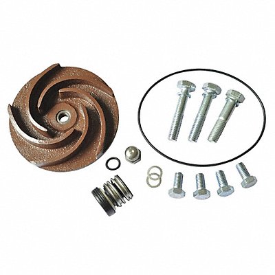 DAYTON 21TG47 Pump Repair Kit For 2ZWR2A 2ZWR3A