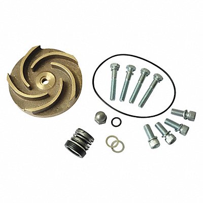 DAYTON 21TG54 Pump Repair Kit For 2ZWR9A 2ZWT1A