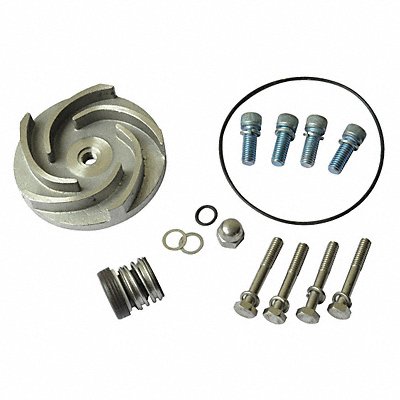 DAYTON 21TG69 Pump Repair Kit For 2ZWU6 2ZWU7