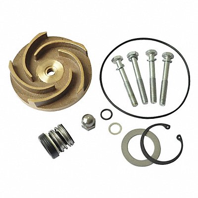 DAYTON 21TG83 Pump Repair Kit For 2ZWY2A