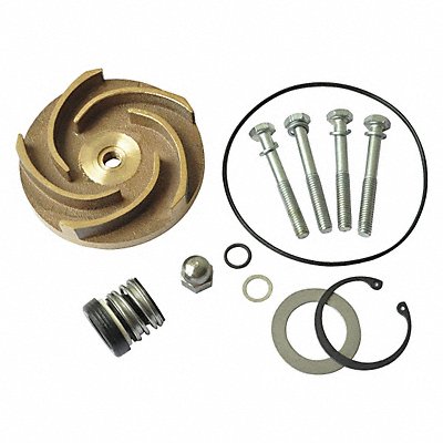 DAYTON 21TG86 Pump Repair Kit For 2ZWY5A