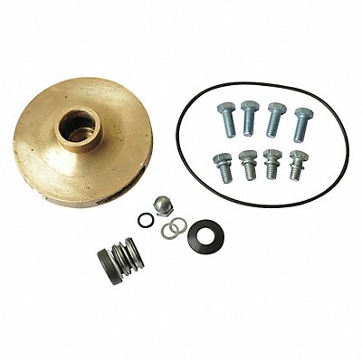 DAYTON 21TH34 Pump Repair Kit For 2ZXL9 2ZXN1