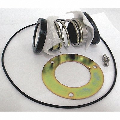 DAYTON PPHP51000206G Mechanical Seal Repair Kit
