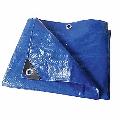 GRAINGER 22JC29 Tarp Polyethylene Blue 15x20 ft