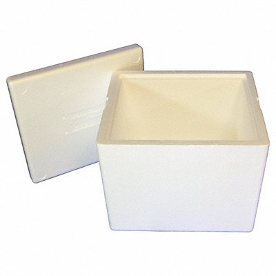 POLAR TECH 238C Insulated Shipping Container Cardboard