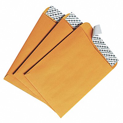QUALITY PARK QUA44162 Catalog Envelopes 6 H 9 W PK100