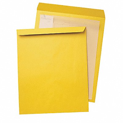QUALITY PARK QUA42353 Catalog Envlps 12-1/2 H 18-1/2 W PK25