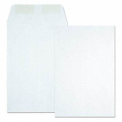 QUALITY PARK QUA40788 Catalog Envelopes 6 H 9 W PK500
