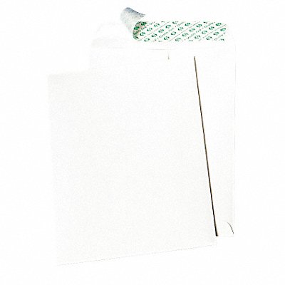 QUALITY PARK QUA77397 No-Tear Envelopes 10 H 13 W PK100