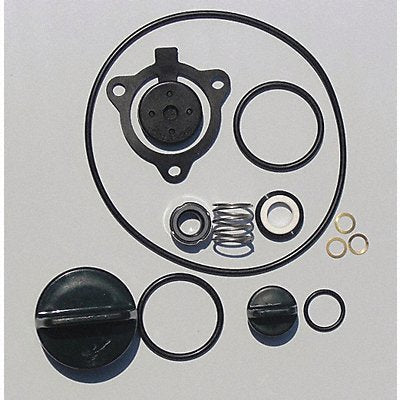 GRAINGER 24D040 Seal Kit Buna For 11G226 and 6CGG9