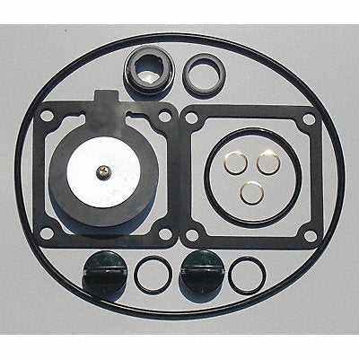 GRAINGER 24D043 Seal Kit Buna For 11G230 and 11G236