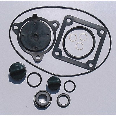 GRAINGER 24D049 Seal Kit Buna For 11G235 13T387 24D039