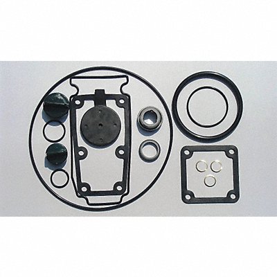 GRAINGER 24D051 Seal Kit Buna For 11G238