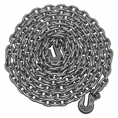 CAMPBELL T0231912 Binder Chain Grab Hook Style 12 Chain