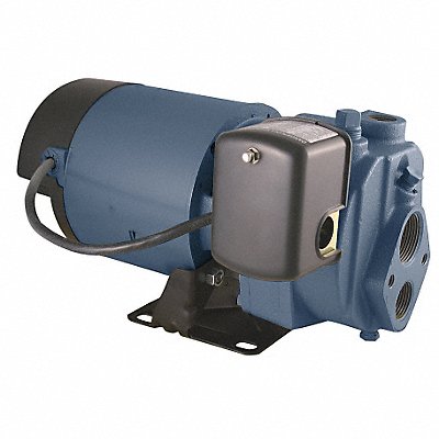 FLINT WALLING EK10 1 HP ConVerticalible Jet Pump 110ft Lift