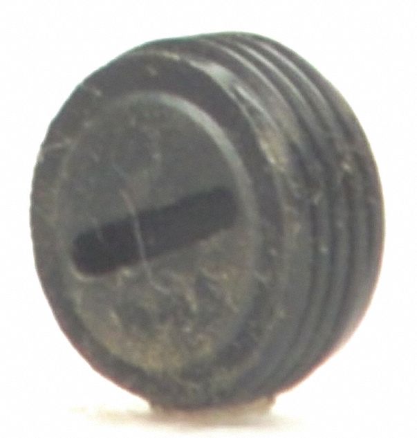 DAYTON 1572002600 Cap Brush PK2