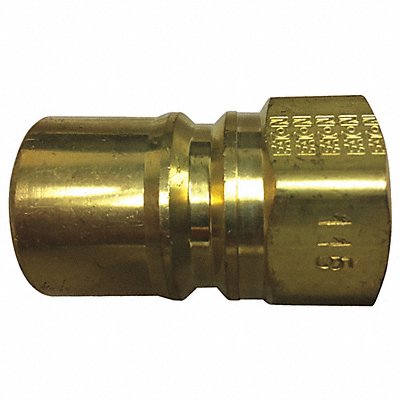 HANSEN B4KP26 Plug Brass Hydraulic Fitting 1/2