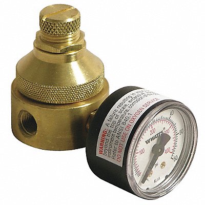 WATTS 14LF560G0125 Pressure Regulator 1/4 In 0 to 125 psi
