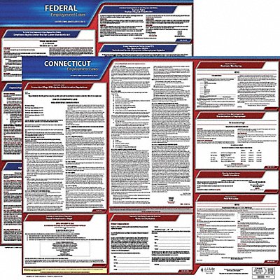 JJ KELLER 100CT3 LaborLaw Poster Fed/STA CT ENG 20inH 3yr