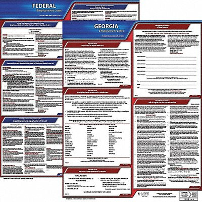 JJ KELLER 100GA1 LaborLaw Poster Fed/STA GA ENG 20inH 1yr