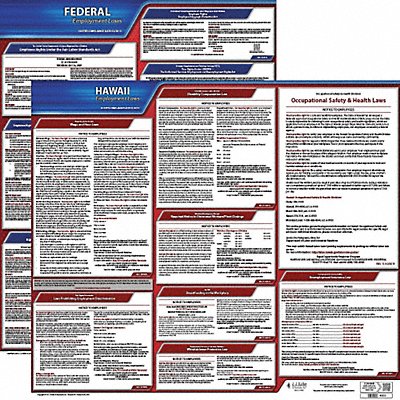 JJ KELLER 100HI1 LaborLaw Poster Fed/STA HI ENG 20inH 1yr