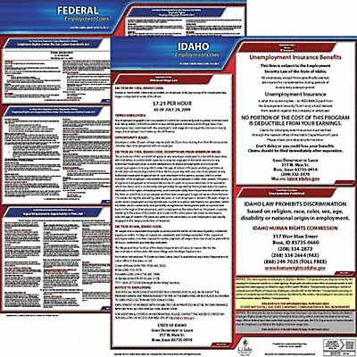 JJ KELLER 100ID3 LaborLaw Poster Fed/STA ID ENG 20inH 3yr