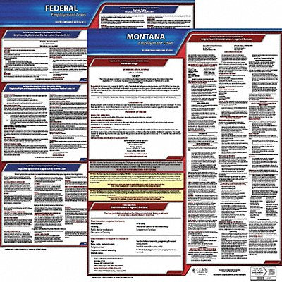 JJ KELLER 100MT3 LaborLaw Poster Fed/STA MT ENG 20inH 3yr