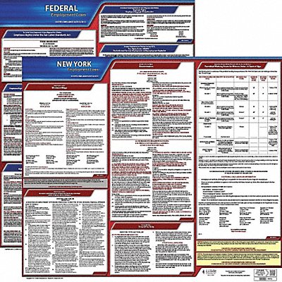 JJ KELLER 100NY1 LaborLaw Poster Fed/STA NY ENG 20inH 1yr