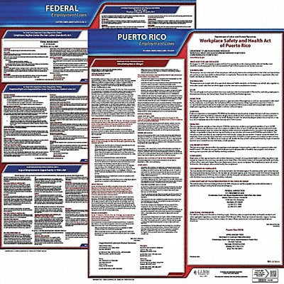 JJ KELLER 100PR3 LaborLaw Poster Fed/STA PR ENG 20inH 3yr