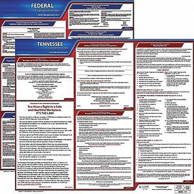 JJ KELLER 100TN3 LaborLaw Poster Fed/STA TN ENG 20inH 3yr