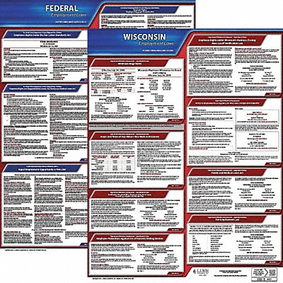 JJ KELLER 100WI1 LaborLaw Poster Fed/STA WI ENG 20inH 1yr