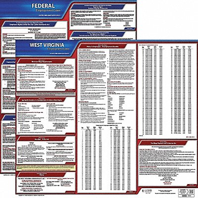 JJ KELLER 100WV3 LaborLaw Poster Fed/STA WV ENG 20inH 3yr