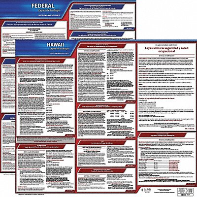 JJ KELLER 200HI1 Labor Law Poster Fed/STA HI SP 20inH 1yr